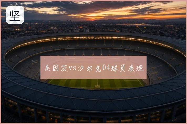 美因茨vs沙尔克04球员表现